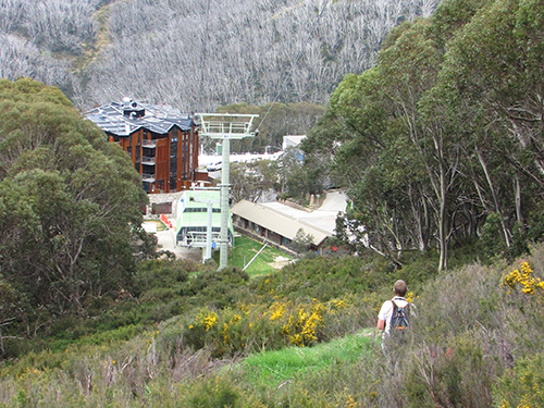 Falls Creek VillageJudy Hofmeyer